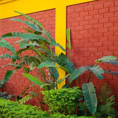 Mvt Guesthouse & Restaurant Rishīkesh المظهر الخارجي الصورة