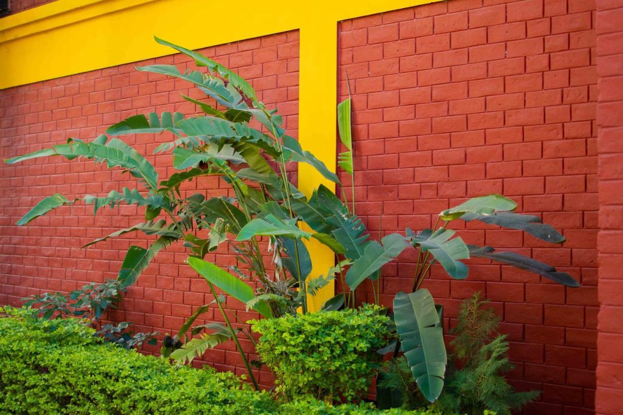 Mvt Guesthouse & Restaurant Rishīkesh المظهر الخارجي الصورة