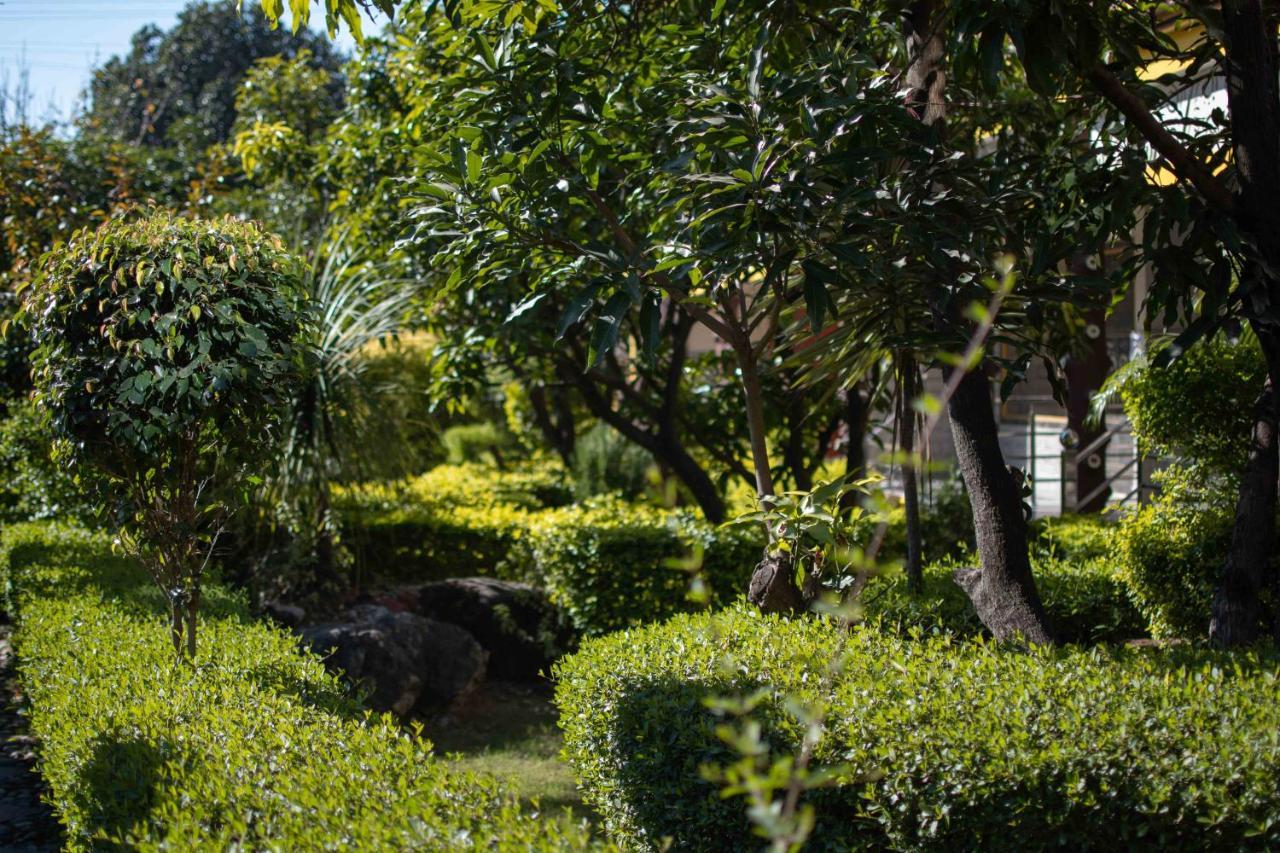 Mvt Guesthouse & Restaurant Rishīkesh المظهر الخارجي الصورة